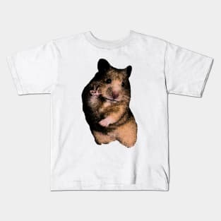 Funny Hamster Shirt, Hamster Meme Shirt, Cute Hamster Dank Meme Quote Shirt Out of Pocket Humor Kids T-Shirt